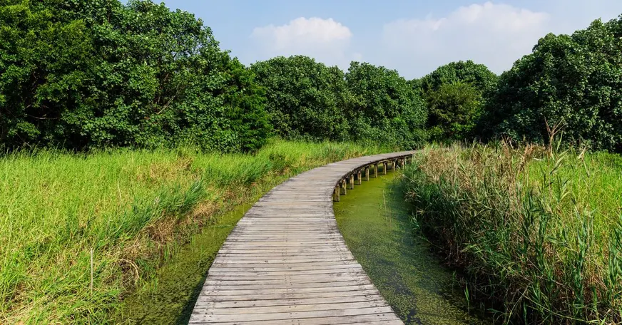 Your PressHERO Journey: From Onboarding to Results